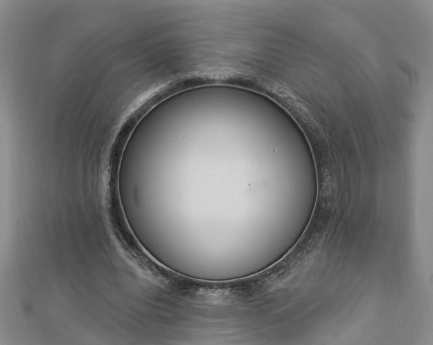 X0000112860440200908281607