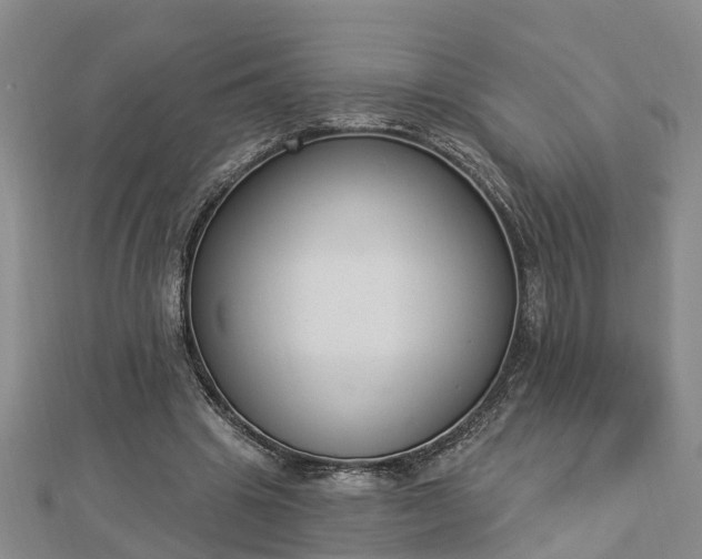X0000112860441200908281607
