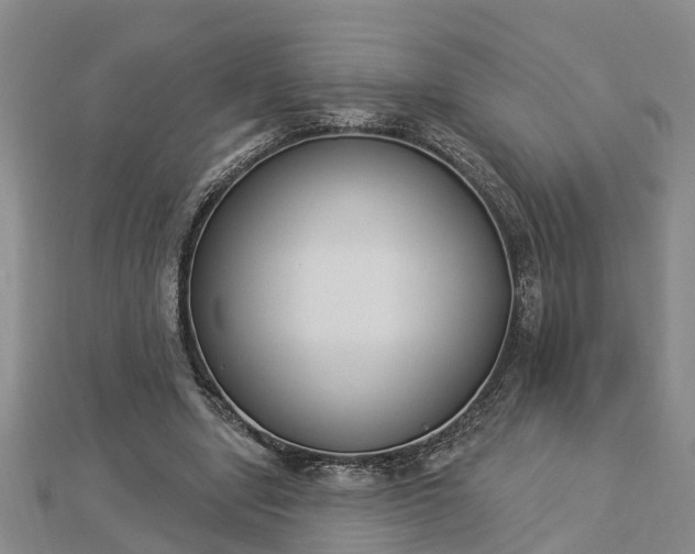 X0000112860442200908281607