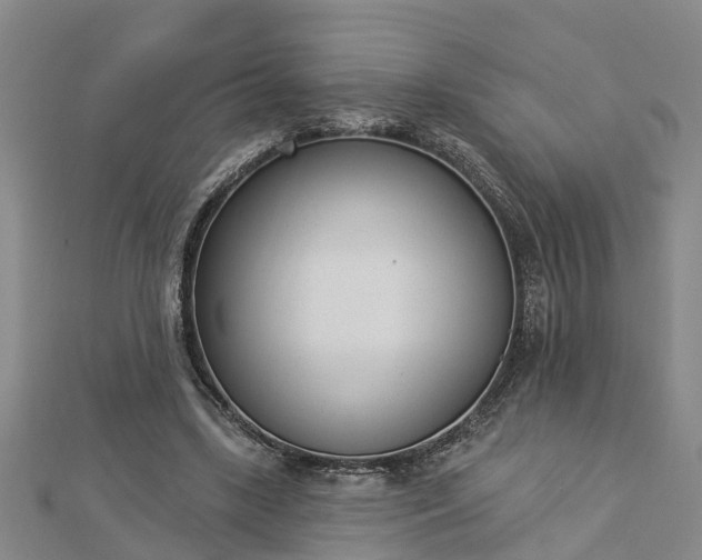 X0000112860443200908281607