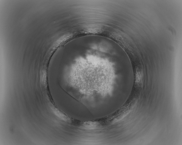 X0000112860444200908281607