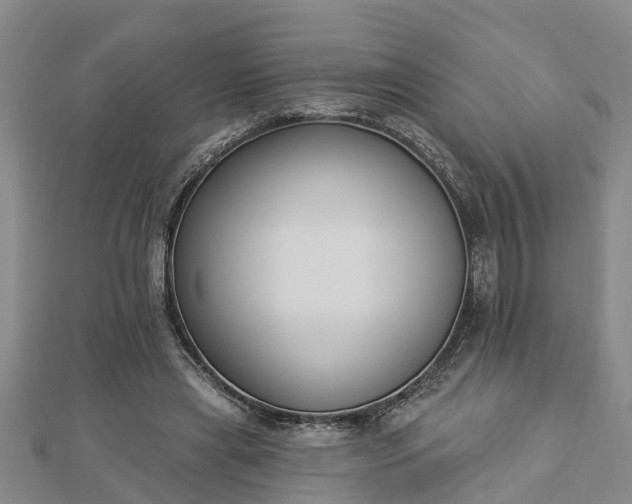 X0000112860445200908281607