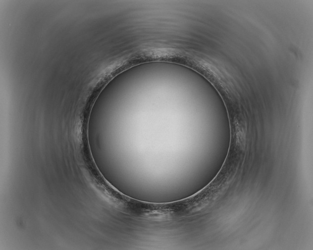 X0000112860447200908281607