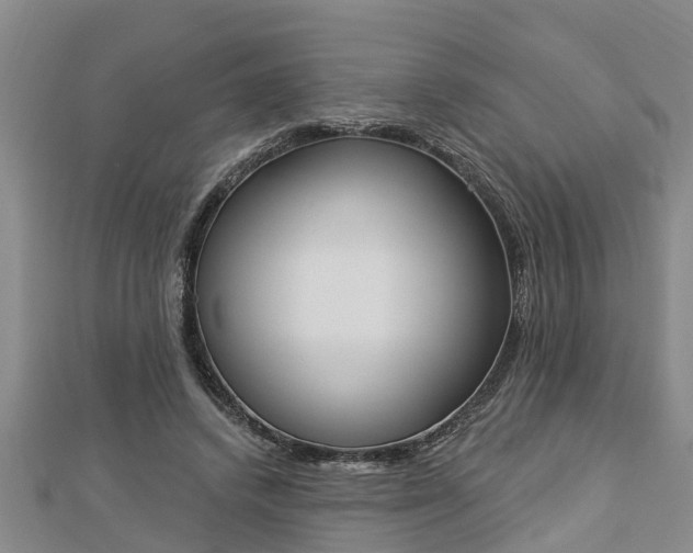 X0000112860448200908281607
