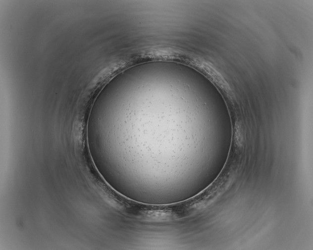 X0000112860449200908281607