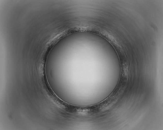 X0000112860450200908281607