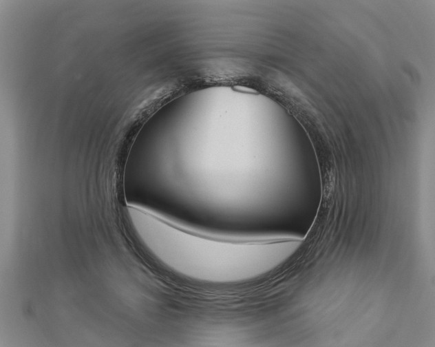 X0000112860452200908281607