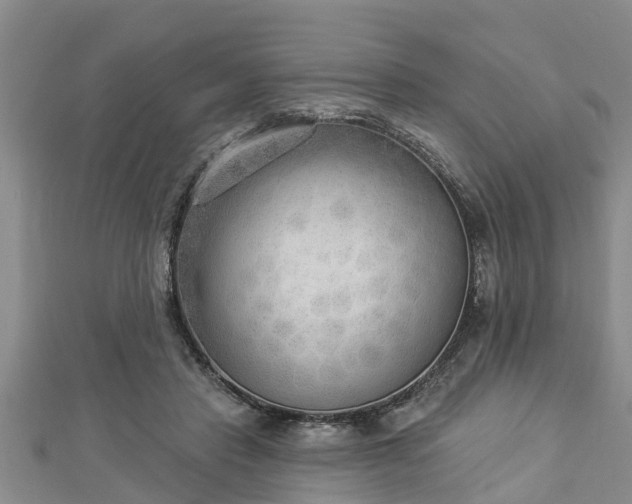 X0000112860453200908281607