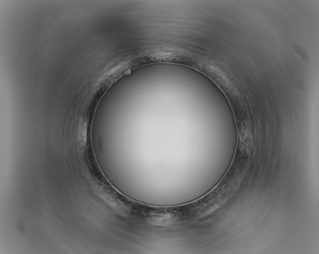 X0000112860454200908281607