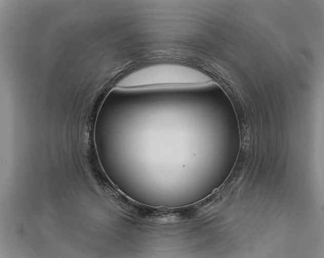 X0000112860456200908281607