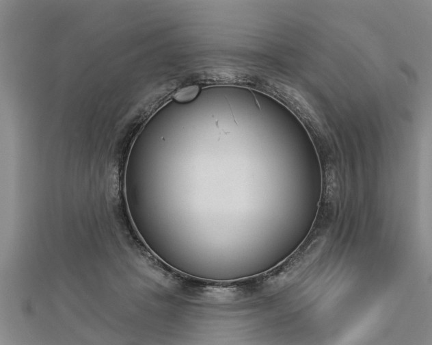 X0000112860457200908281607