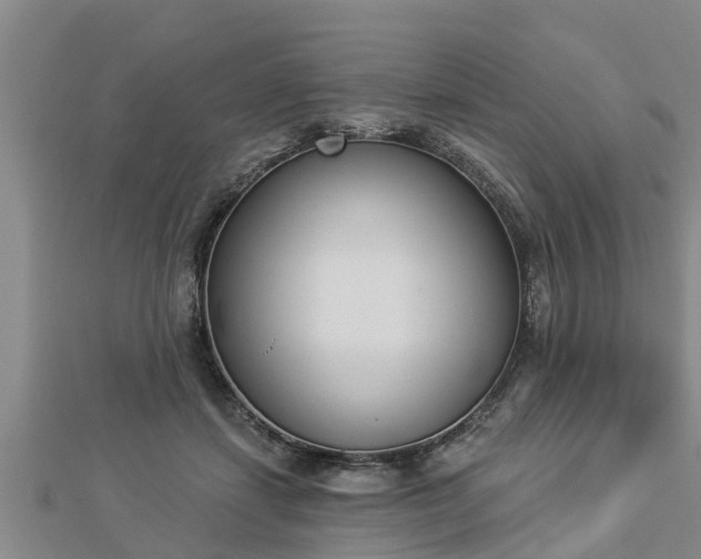X0000112860459200908281607