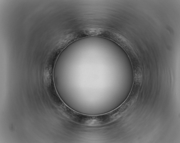 X0000112860460200908281607