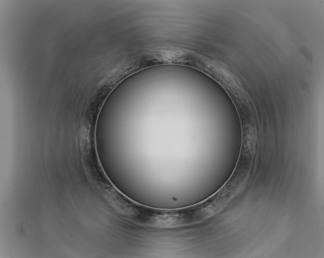X0000112860461200908281607