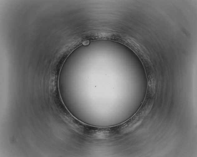 X0000112860462200908281608