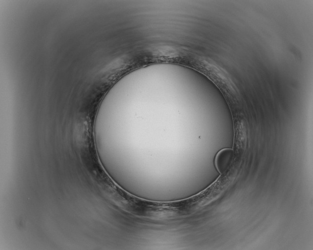 X0000112860463200908281608
