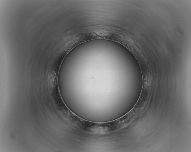 X0000112860464200908281608