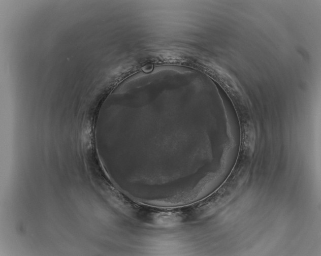 X0000112860465200908281608