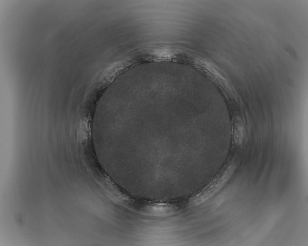 X0000112860467200908281608