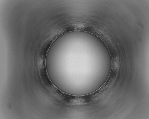 X0000112860468200908281608