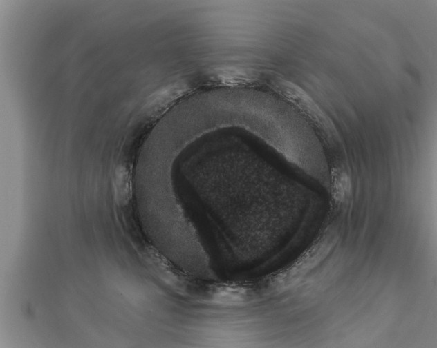 X0000112860471200908281608