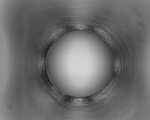 X0000112860473200908281608