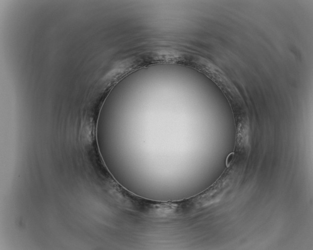 X0000112860474200908281608