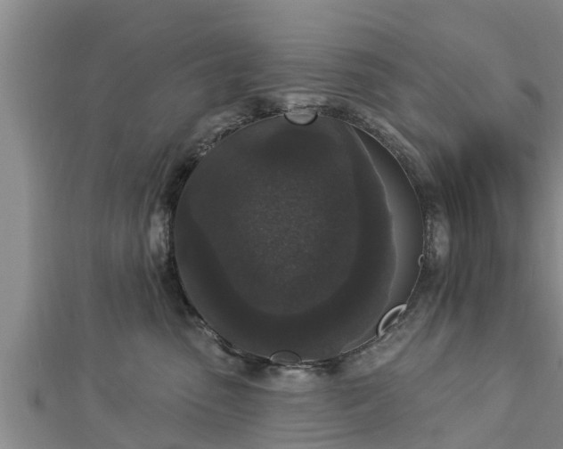 X0000112860475200908281608
