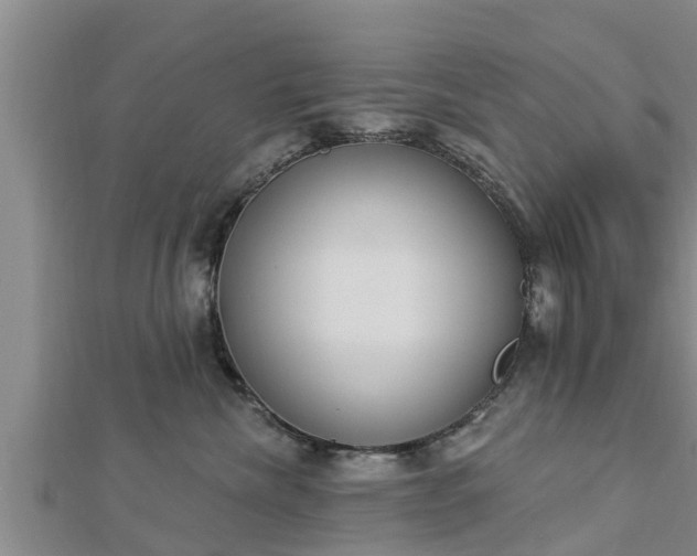 X0000112860476200908281608
