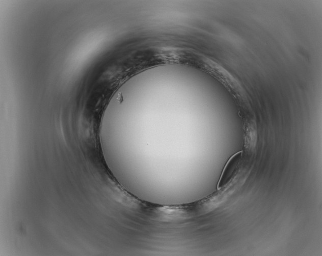 X0000112860477200908281608