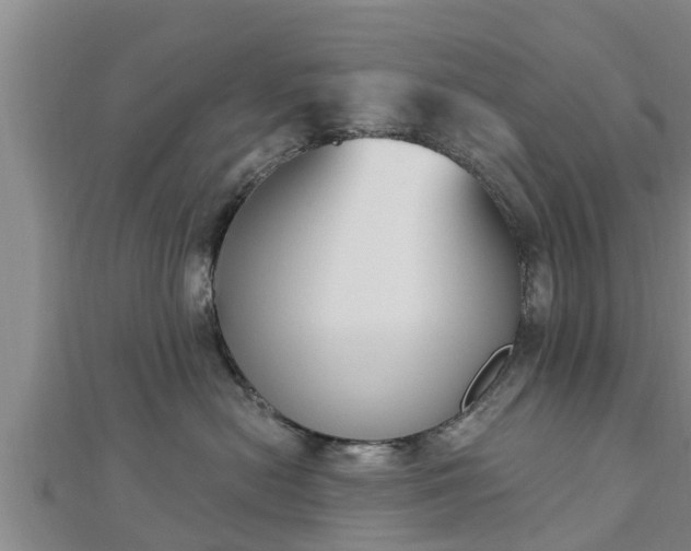 X0000112860478200908281608