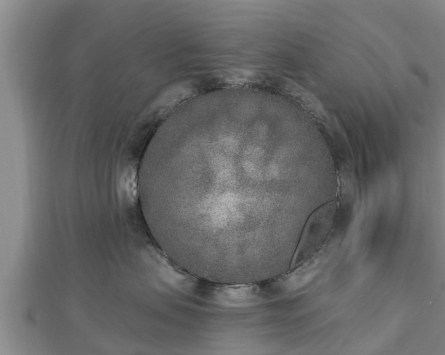 X0000112860479200908281608
