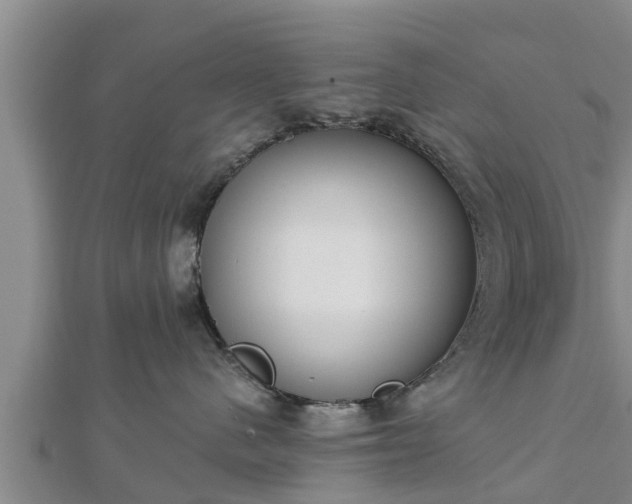 X0000112860480200908281608