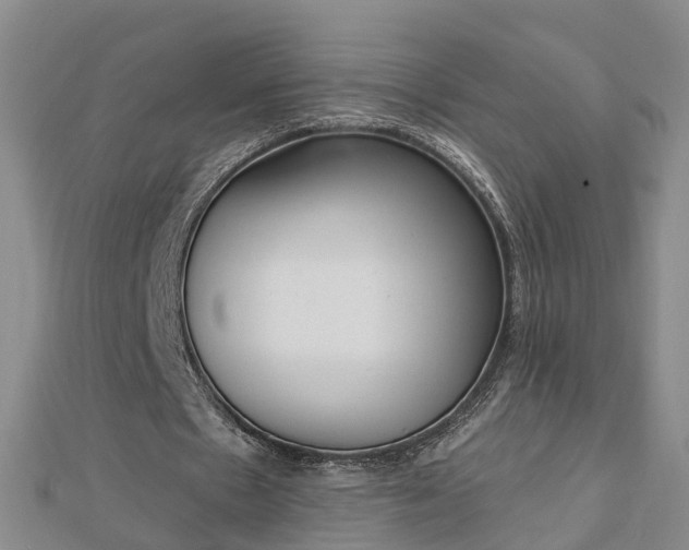 X0000112860481200908281607