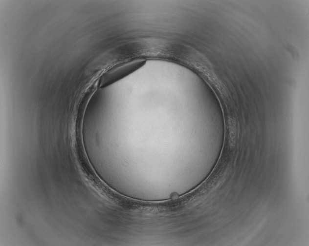 X0000112860482200908281607