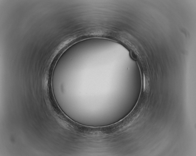 X0000112860483200908281607
