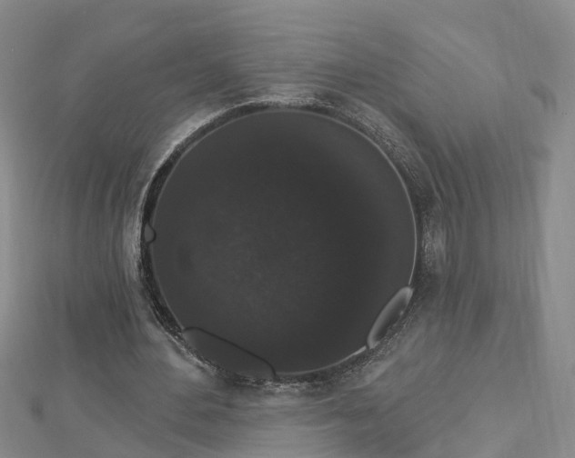 X0000112860484200908281607