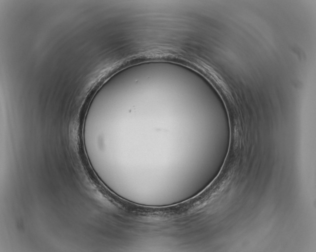 X0000112860485200908281607