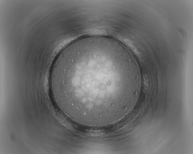 X0000112860487200908281607