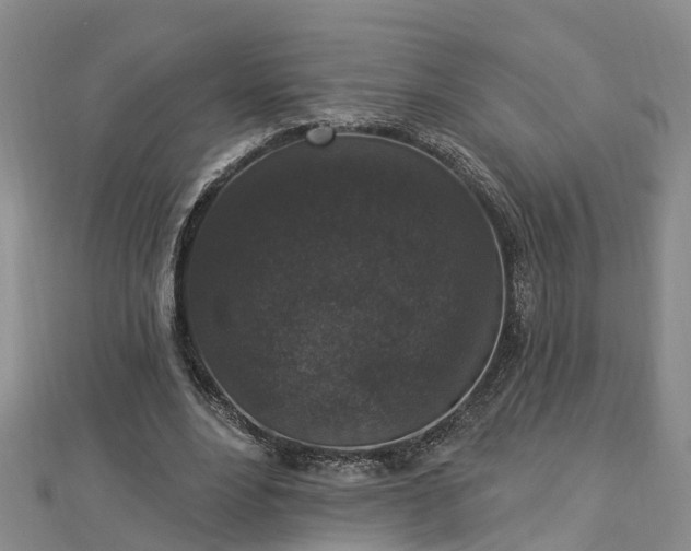 X0000112860488200908281607