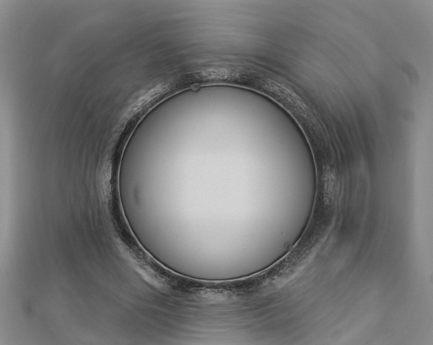 X0000112860490200908281607