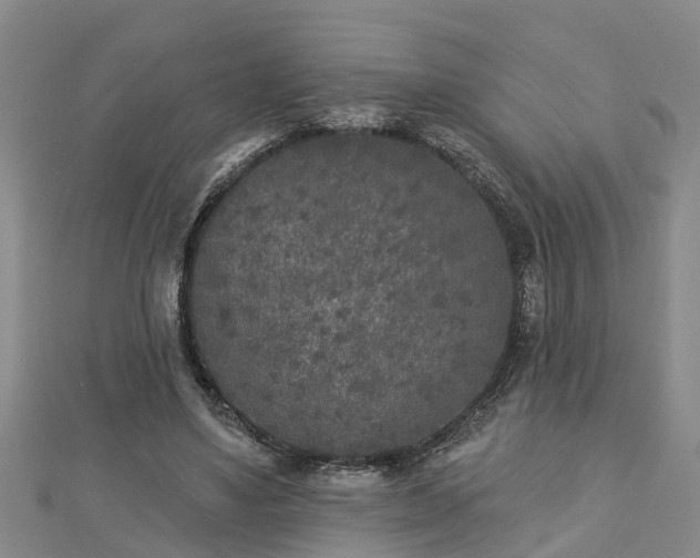 X0000112860491200908281607
