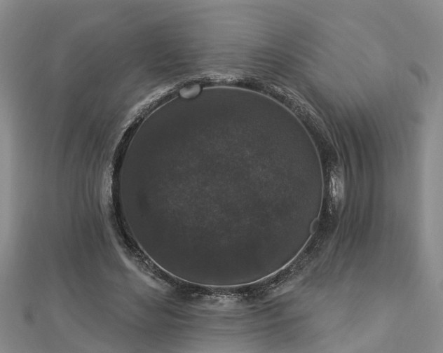 X0000112860492200908281607