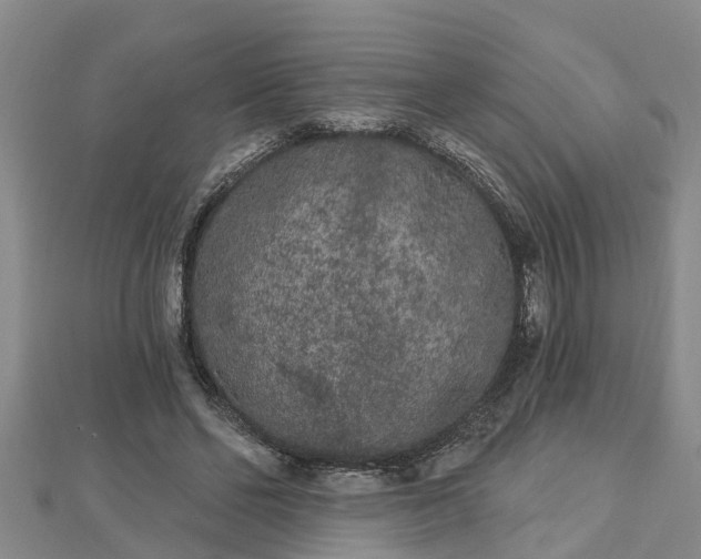 X0000112860494200908281607