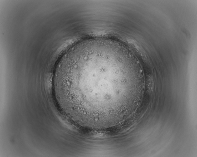 X0000112860495200908281607