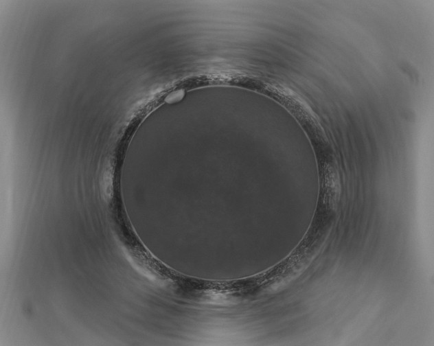 X0000112860496200908281607