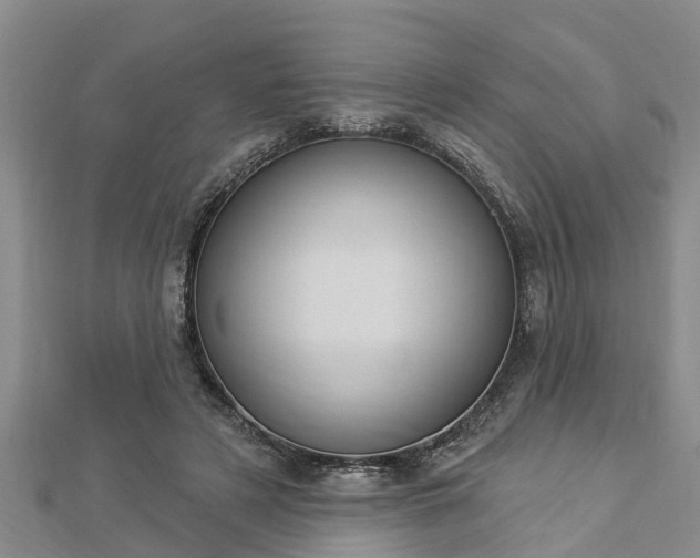 X0000112860497200908281607