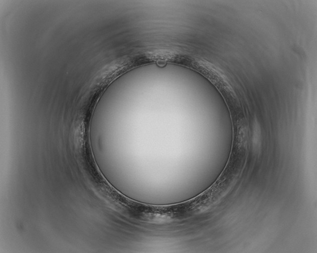X0000112860498200908281607