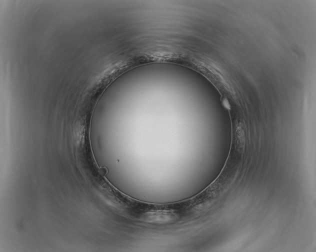 X0000112860499200908281607