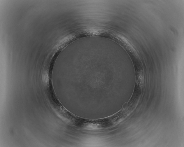 X0000112860500200908281607